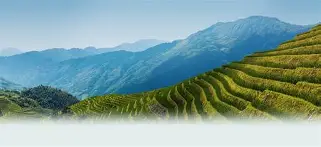 爱游戏在线-关于w-?d#